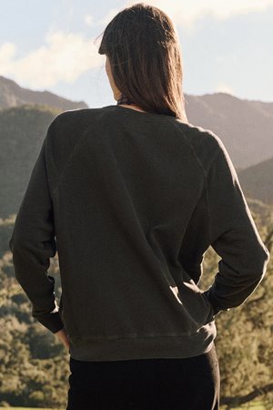 The Great the college sweatshirt  bear back The Great the college sweatshirt  bear back