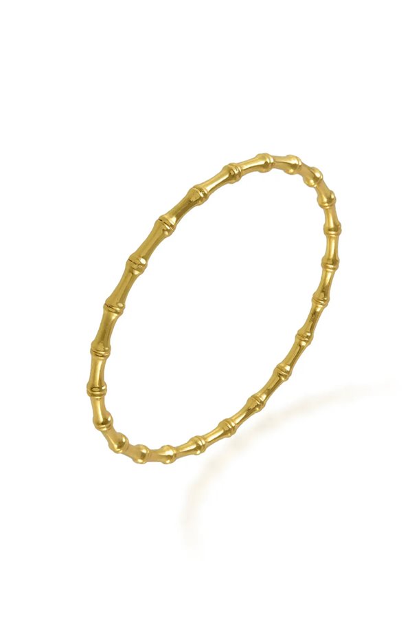 Shyla  nala bangle 