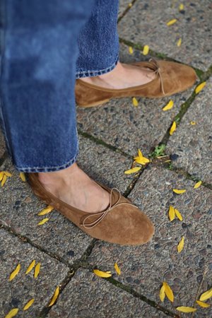 Anniel  sogno suede ballet pump sigaro back Anniel  sogno suede ballet pump sigaro back