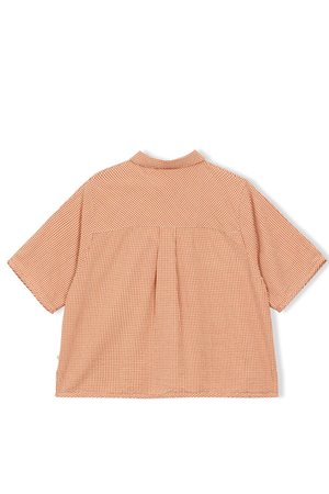 A.P  vichy top  back