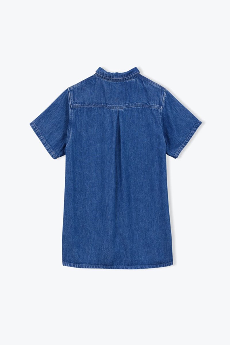 A.P  denim embroidered dress side