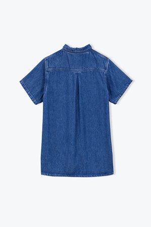 A.P  denim embroidered dress side