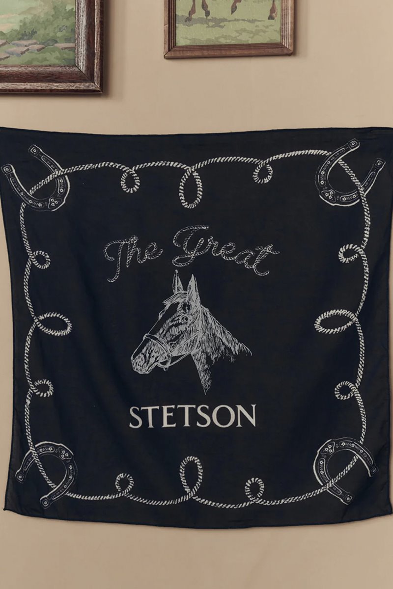 The Great the western bandana stetson navy back