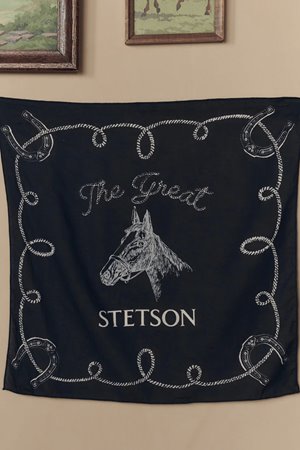 The Great the western bandana stetson navy back
