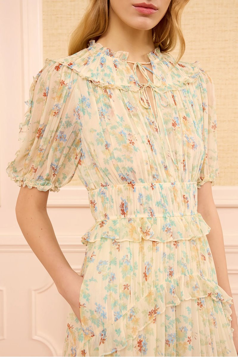 Ulla Johnson wren silk dress moon petal detail