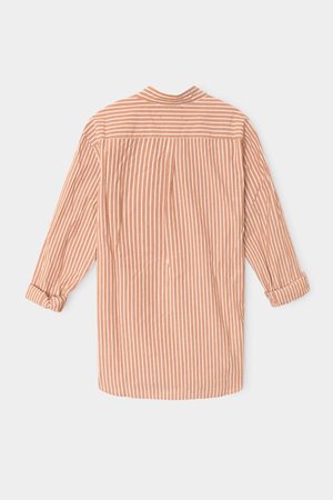 Xirena  beau shirt honey mustard back