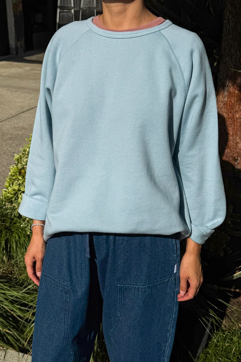 Le Bon Shoppe french terry raglan tee dream blue back
